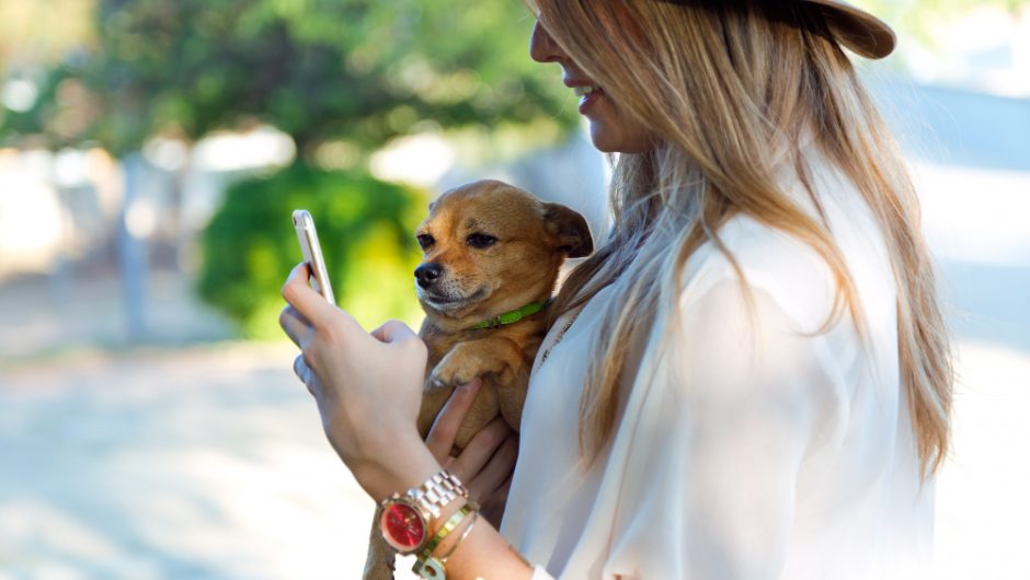 Ghid pentru cele mai bune destinații pet friendly
