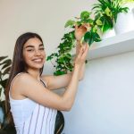 7 modalități prin care poți amenaja un colț verde în apartament