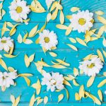 Cum să alegi tapetul cu motive florale